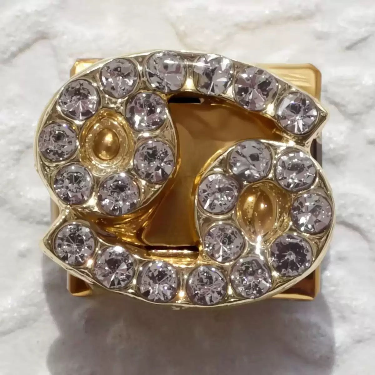 Micro pave CZ Zodiac Modular Link Charms