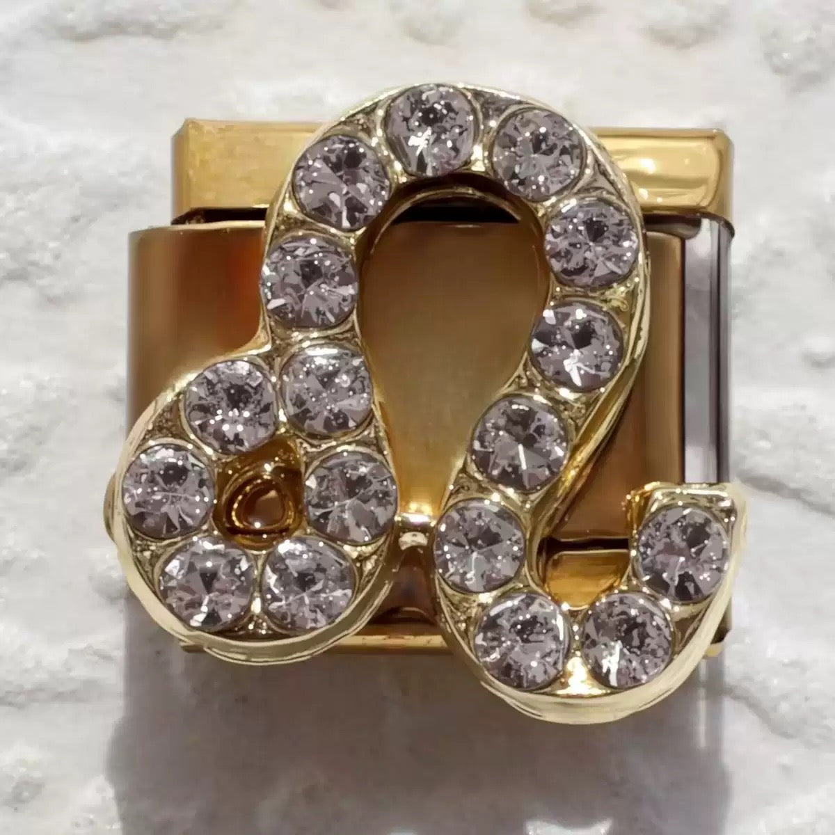 Micro pave CZ Zodiac Modular Link Charms