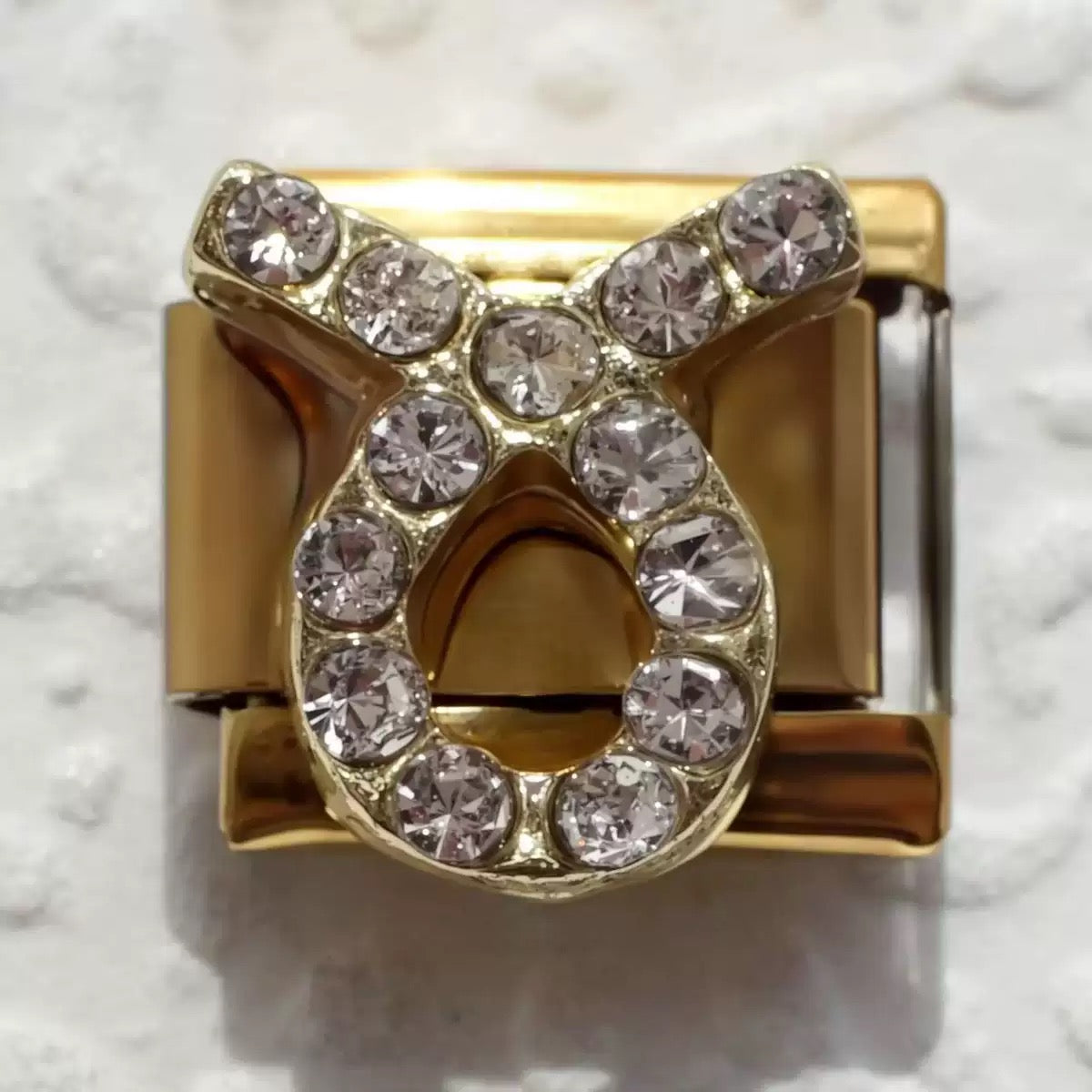 Micro pave CZ Zodiac Modular Link Charms