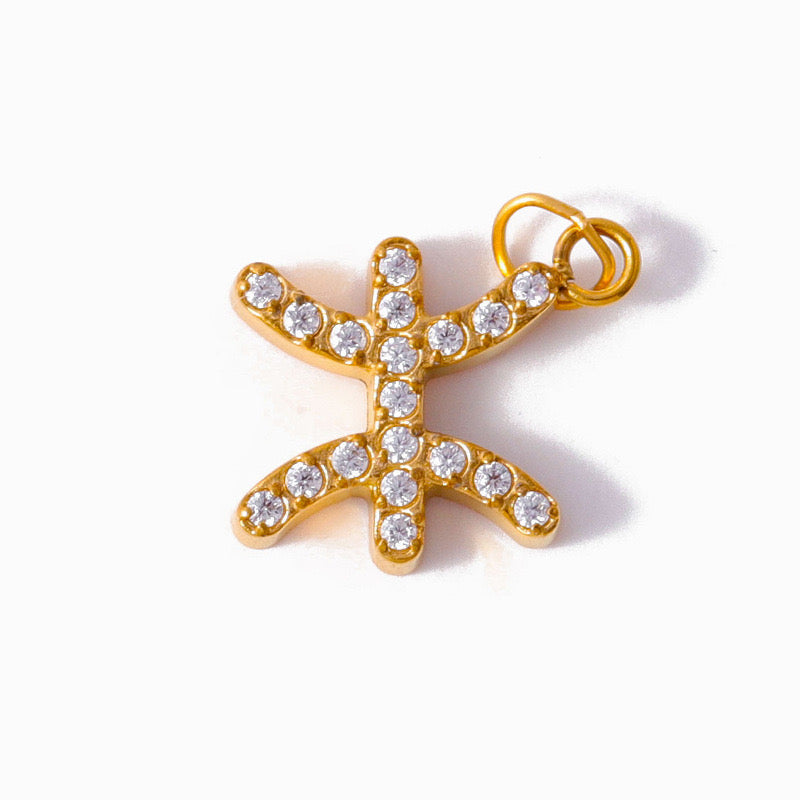Micro pave CZ Zodiac Charms