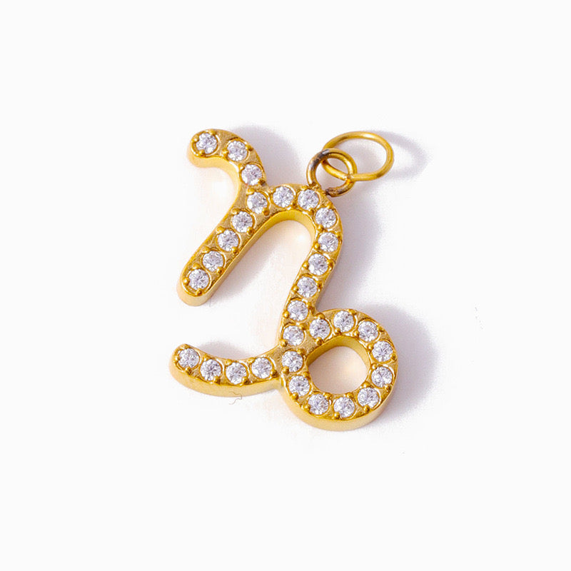 Micro pave CZ Zodiac Charms